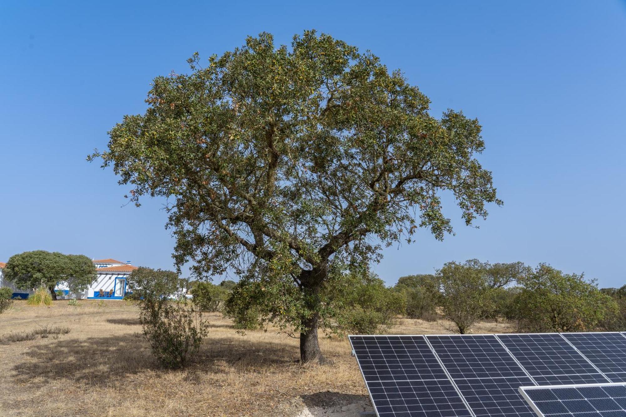 Change The World - Herdade Monte Do Peral Montes Juntos المظهر الخارجي الصورة