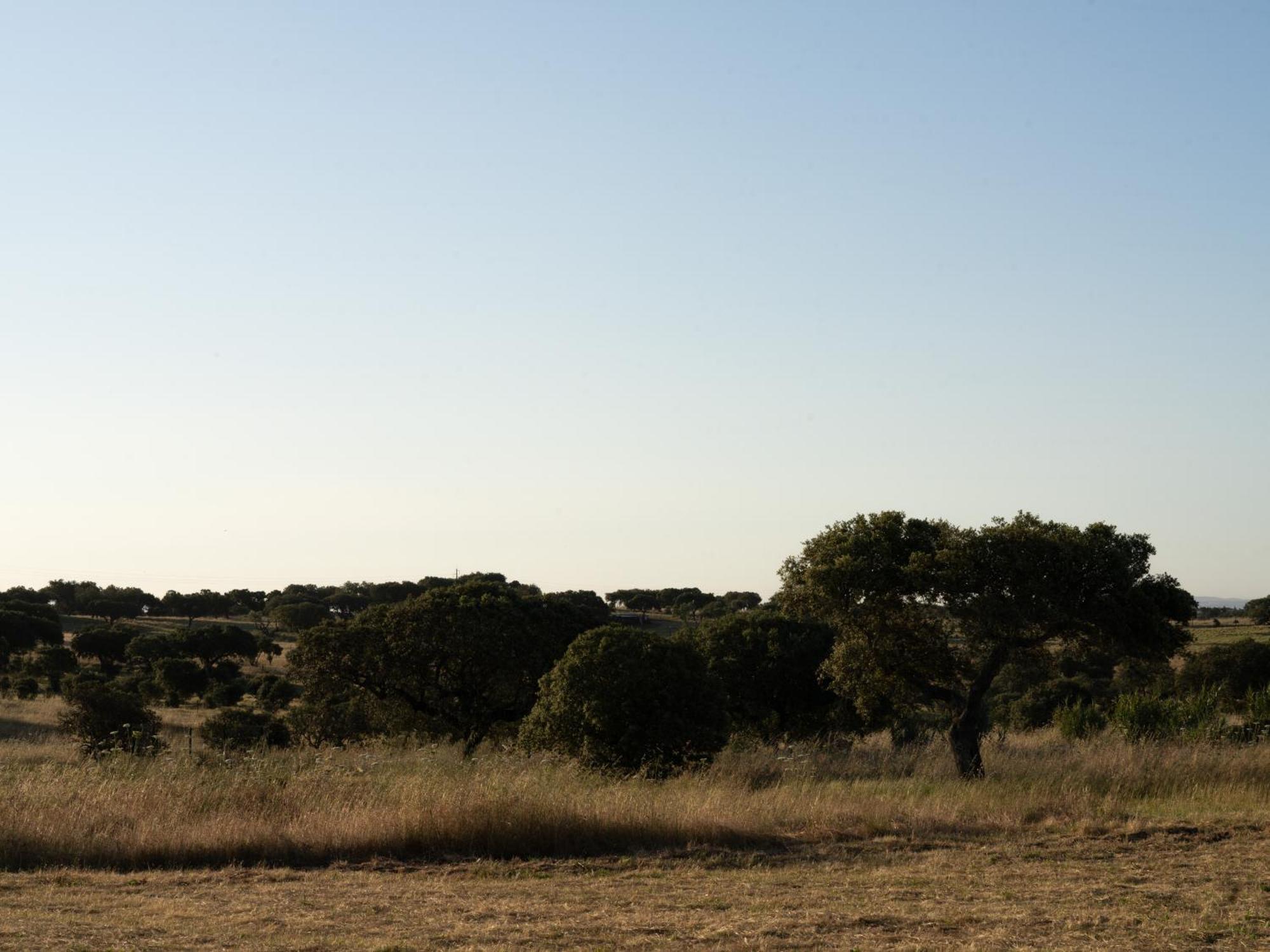Change The World - Herdade Monte Do Peral Montes Juntos المظهر الخارجي الصورة