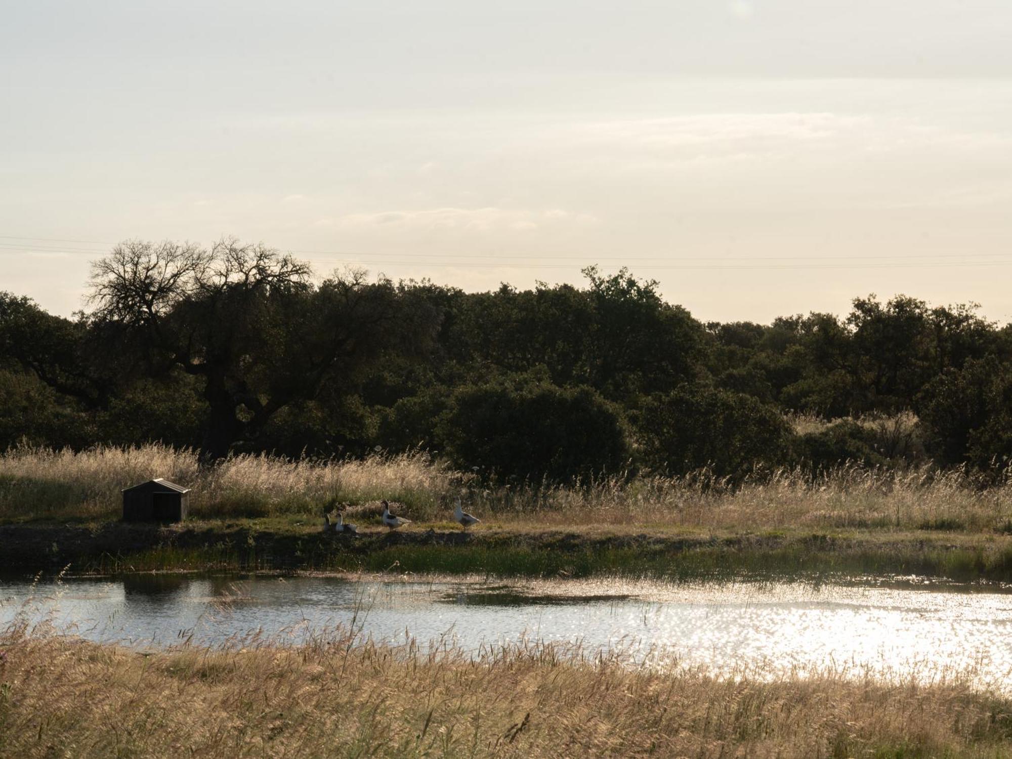 Change The World - Herdade Monte Do Peral Montes Juntos المظهر الخارجي الصورة